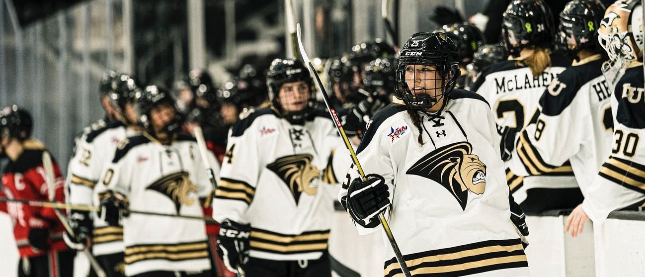 Lindenwood Women's NCAA Ice Hockey 20232024